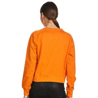 Sweaters & Sweatshirts